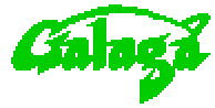 Galaga